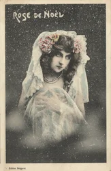 Weihnachtsrose